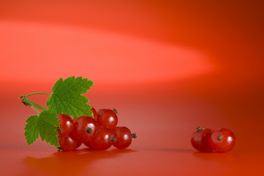 Similar image 7445146