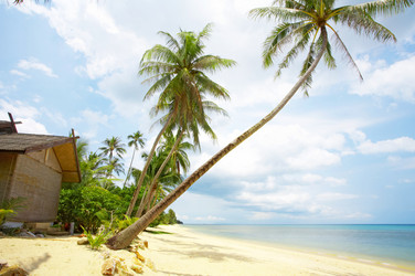 Similar image 7445150