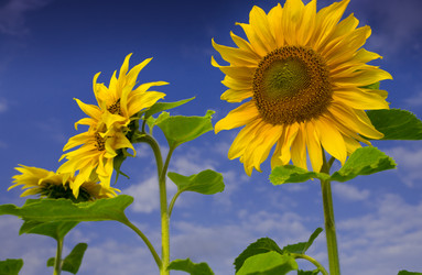 Similar image 7445159