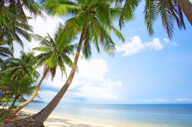 Similar image 7445191