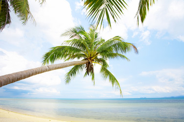 Similar image 7445215