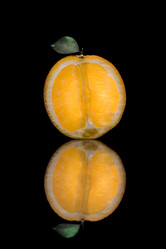 Similar image 7445221