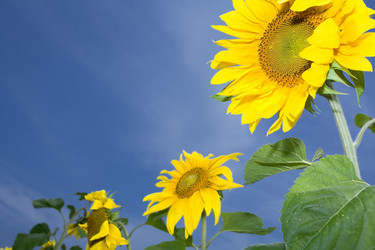 Similar image 7445236