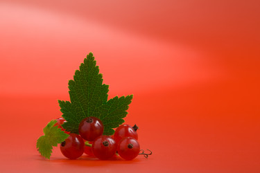 Similar image 7445251