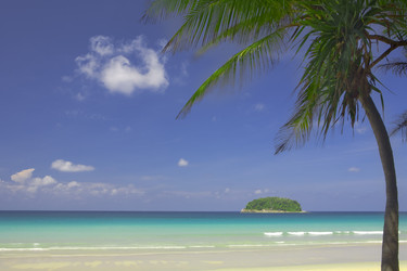 Similar image 7445272