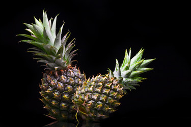 Similar image 7445281