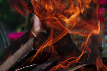 Similar image 7445294