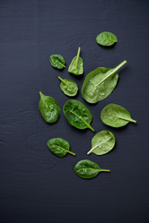 Similar image 7445303