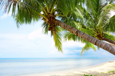 Similar image 7445435