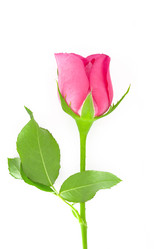 Similar image 7445456