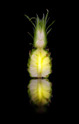 Similar image 7445458