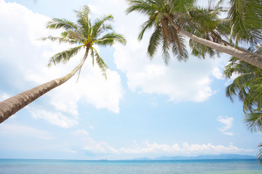 Similar image 7445464