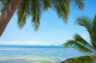 Similar image 7445524