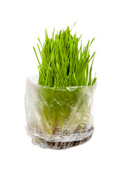 Similar image 7445540