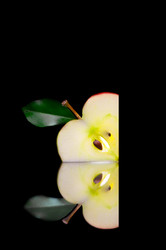 Similar image 7445555