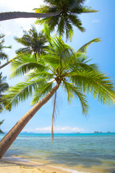 Similar image 7445578