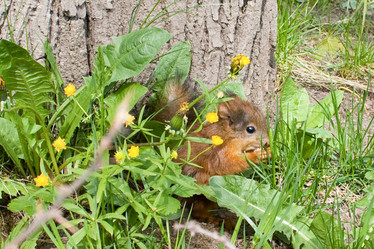 Similar image 7445597