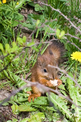 Similar image 7445598