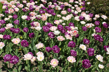 Similar image 7445615