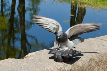 Similar image 7445620