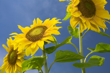 Similar image 7445804