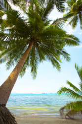 Similar image 7445821