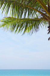 Similar image 7445857