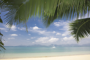 Similar image 7445880