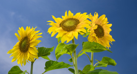 Similar image 7445886