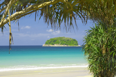 Similar image 7445891