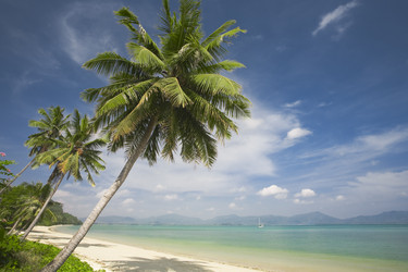 Similar image 7446086