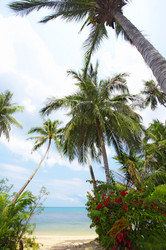 Similar image 7446129