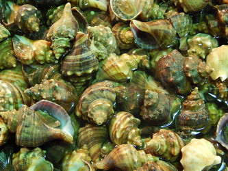 Similar image 7446142