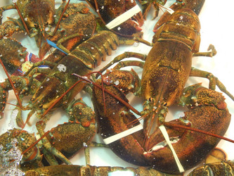 Similar image 7446162