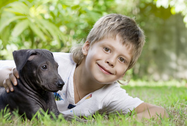 Similar image 7446165