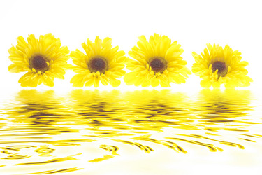 Similar image 7446186