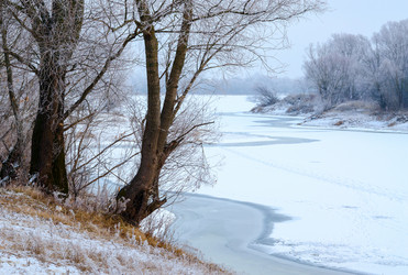 Similar image 7446201