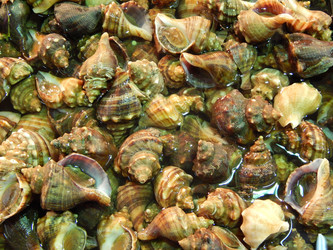 Similar image 7446202