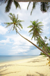 Similar image 7446204