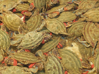 Similar image 7446258