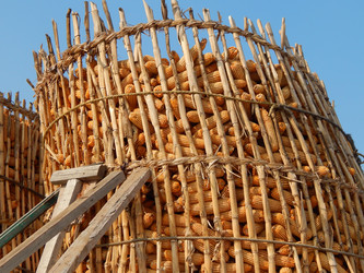 Similar image 7446259