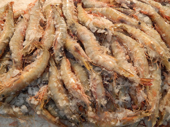 Similar image 7446261