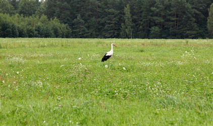 Similar image 7446302