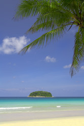 Similar image 7446422