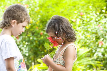 Similar image 7446432