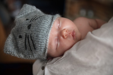 Similar image 7446455