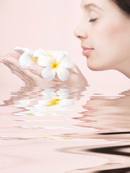 Similar image 7446479