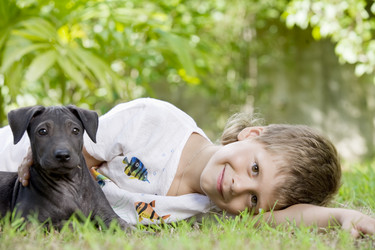 Similar image 7446545