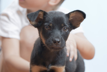 Similar image 7446549