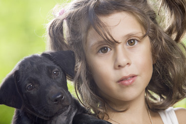 Similar image 7446555